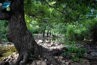 A Trek to Tada Falls