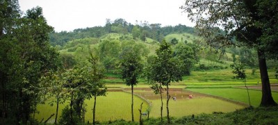 Sharavathy and Jog Falls – Part 1