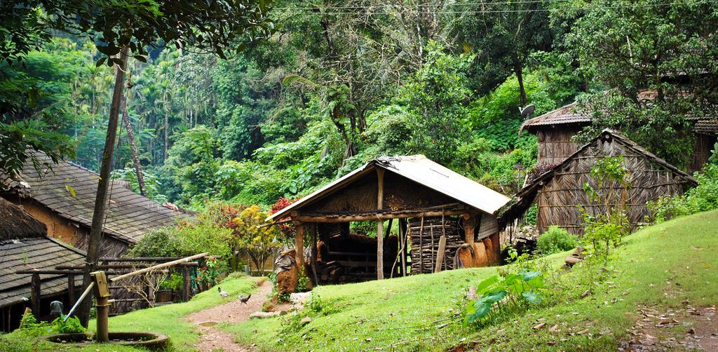 Sharavathy and Jog Falls – Part 2