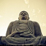 The Gallery 7 Buddha_mini