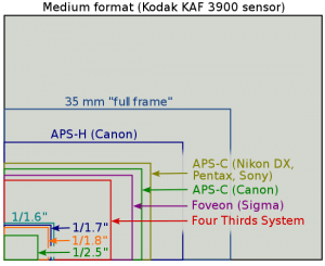 Camera-Sensor-Size-Comparison Questions to ask before buying a Digital Camera 1