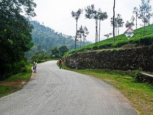 Cycling-2 Bicycle Diaries II: Malenaadu Magic 2