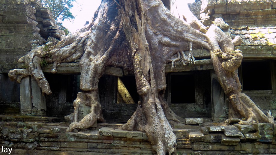 Backpacking across SE Asia: Banteay Srei & Preah Khan 4