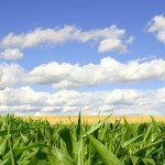 Landscape Photography Lessons 7: Understanding Depth of Field 3