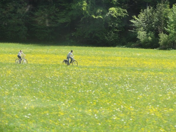 Cyclists enjoying a ride..