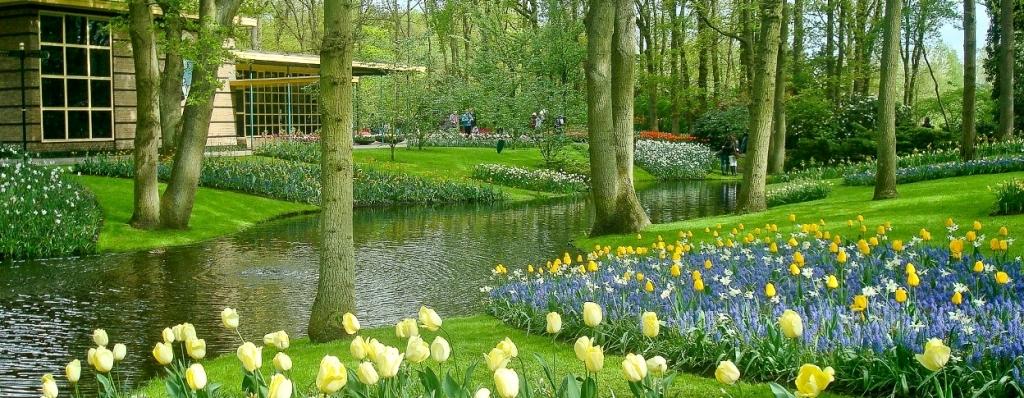 Keukenhof gardens