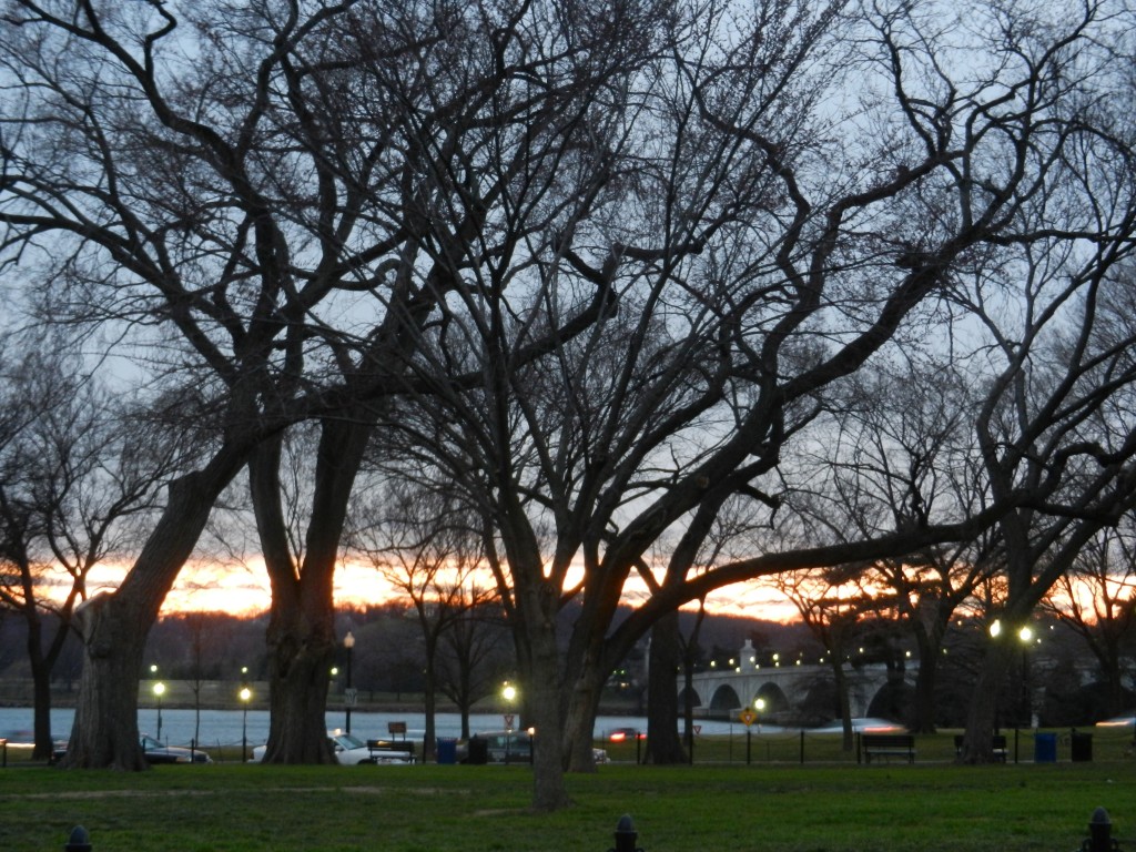 Evening in D.C. Beautiful Times in US - Washington D.C. 1