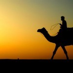 The Gallery 22 Camel