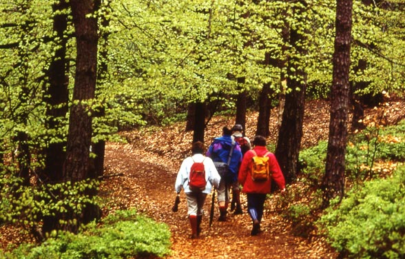 Trekking and Walking Holidays In Some Key European Locations