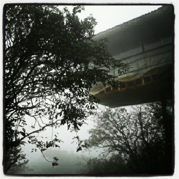 The 'Misty' Hotel The 'Misty' Hotel