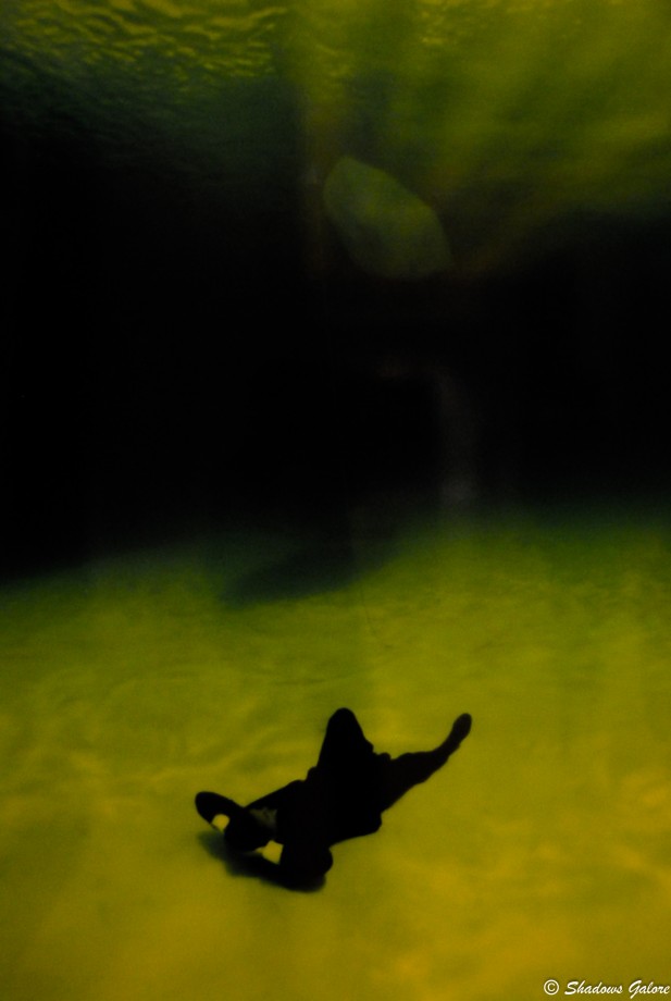 Philippe Ramette Philippe Ramette