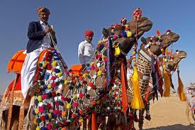 The Colors of Jaisalmer Desert Festival