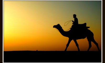 A Camel in Thar