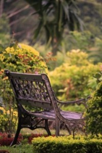 Exploring the Hill Country of Sri Lanka 4 Relax in Ella .. Courtesy : www.flickr.com/photos/halwis/