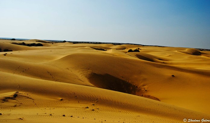 Thar Sand Dunes