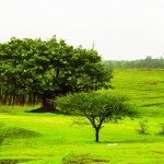 The Gallery 16 Varandha_Ghat-5