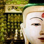 The Gallery 2 Rajgir-11