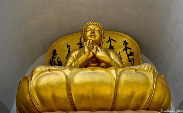 Buddha on a Lotus