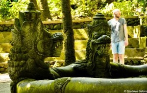 Snakes encircle a water bath