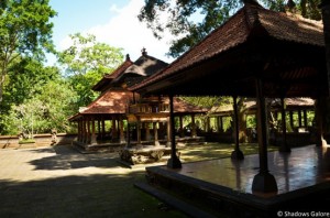 Ubud-74