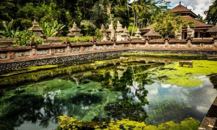 Bali: The Kintamani Tour – Tirta Empul Temple