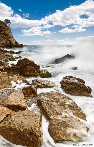 Beach jungle by SergioTudela Malaga photo