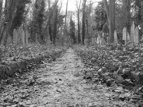 Abney Park Stoke Newington Hackney 077 by David Holt London abney park photo