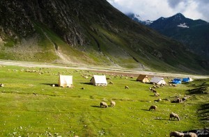 To Zoji La and Beyond .. 20 Zoji La - Gumri-99