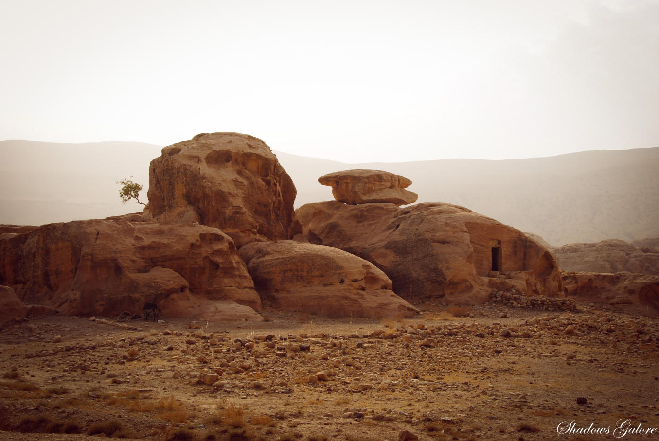 Little Petra 6 Little Petra 6