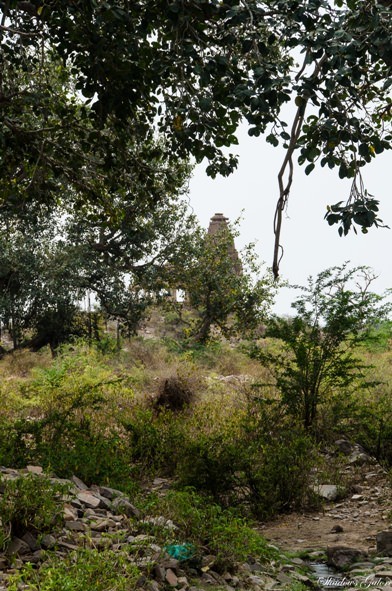 Bhangarh Distant Temple