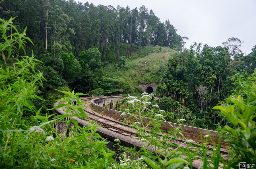 Chilling Out In Ella 8 Ella-33