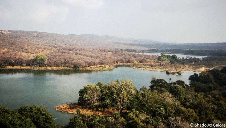 Ranthambore Panorama