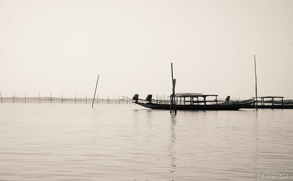 A Day At The Chilika Lake