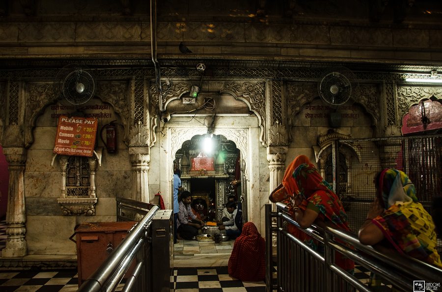 Karni Mata Temple - The Rat Temple of Deshnok 4