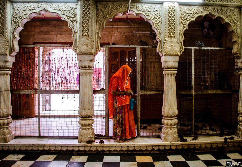 Karni Mata Temple – The Rat Temple of Deshnok