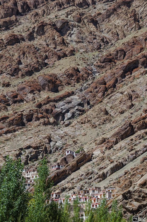 Naropa Festival 2018 - Mahakumbh Of The Himalayas 19 Naropa Festival 2018 - Mahakumbh Of The Himalayas 1