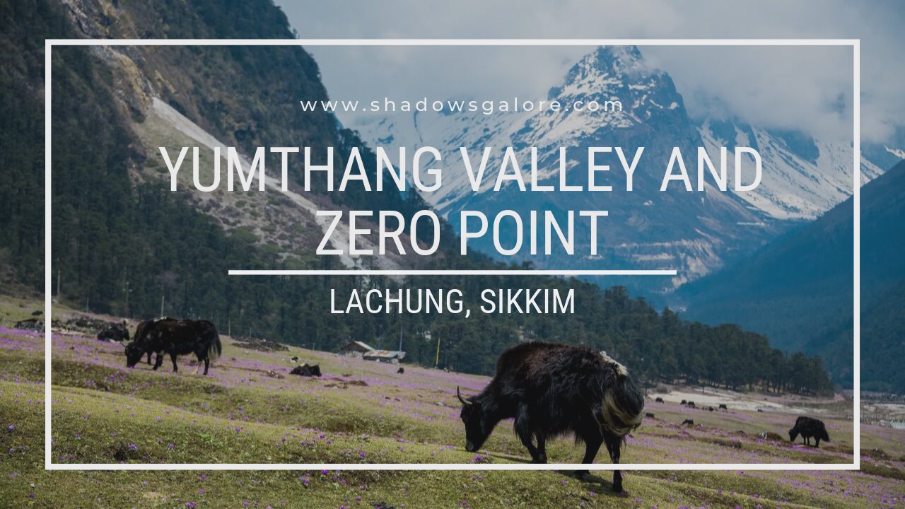 Blog 7 A Road Trip To Yumthang Valley and Zero Point